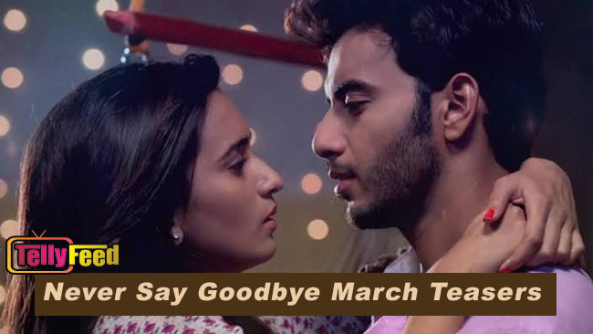 Never Say Goodbye March Teasers 2022