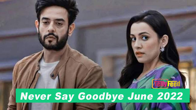 Never Say Goodbye June Teasers 2022