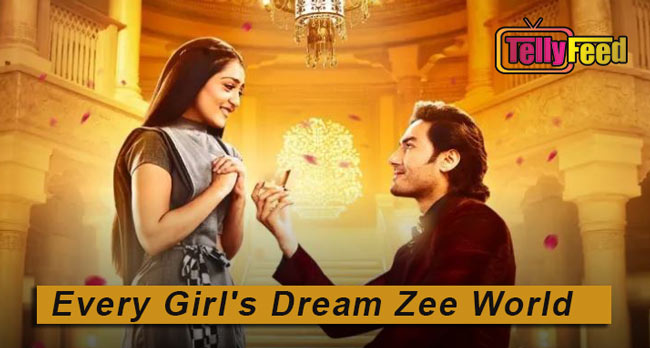 Every Girl’s Dream Zee World Full Story Cast Summary Teasers