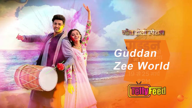 Guddan on Zee world Full Story Cast Summary Teasers
