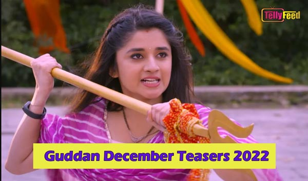Guddan December Teasers 2022
